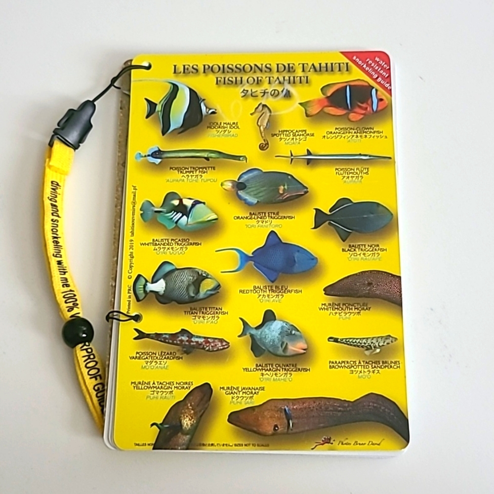 Submersible pocket fish guide-Fish of Tahiti